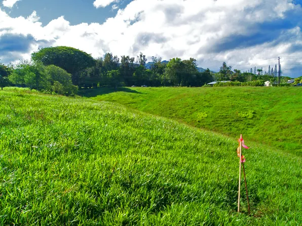 Olohena Rd, Kapaa, HI 96746