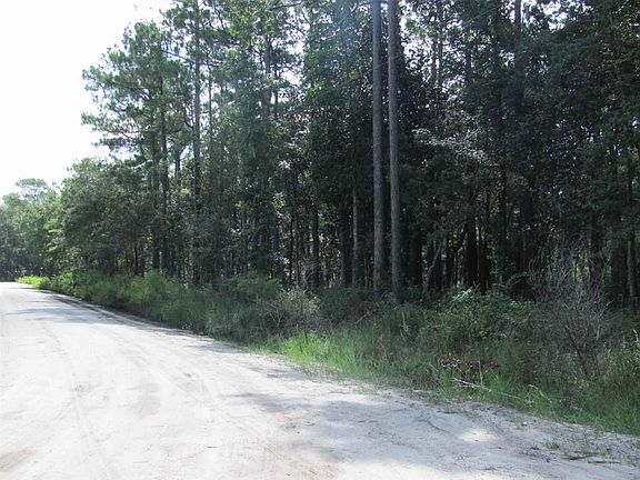 2nd image of Williams Dr #1