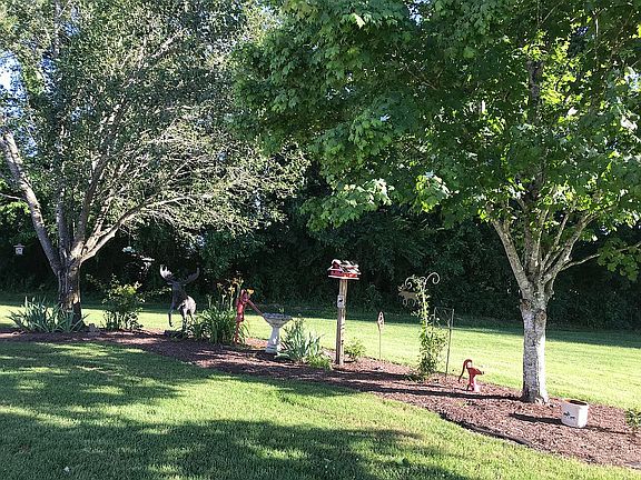 Front yard