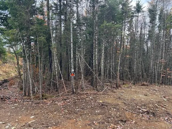 Lot ''N'' S Whitetail Way, Greenville, ME 04441