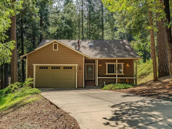 16888 McKenzie Dr, Pioneer, CA 95666