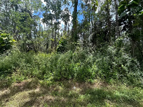 Lanai Rd Lot 576, Pahoa, HI 96778