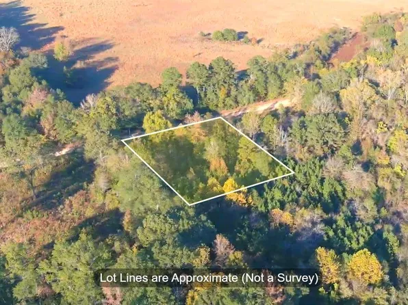 0 Butler Rd, Haworth, OK 74740