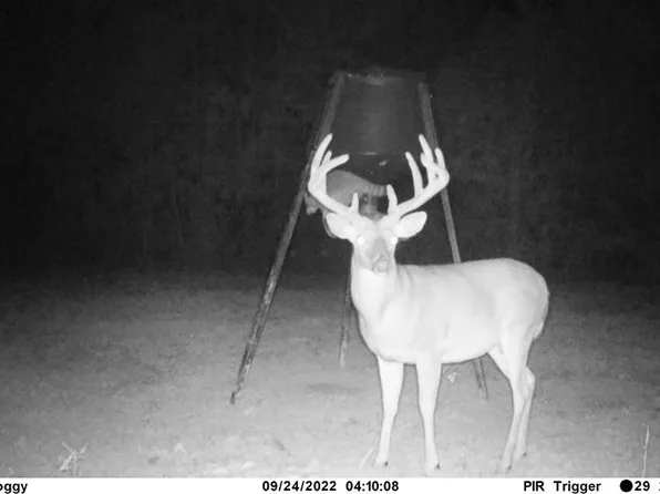 7635 Dickey Mills Rd, Magnolia, MS 39652