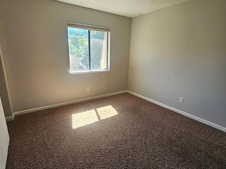3231 Schuetzen Ln — Photo 9