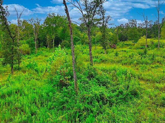 3rd image of County Road 77