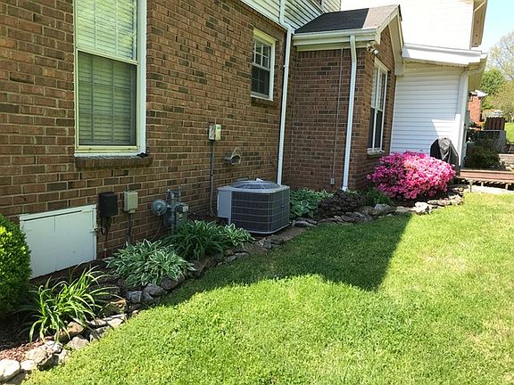 Back view, azaelas in bloom!