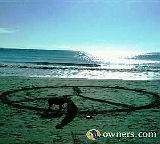 Pet friendly for owners year round