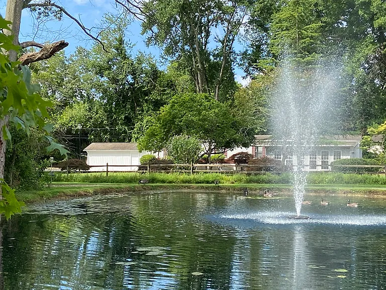 View of Home from Nearby Pond