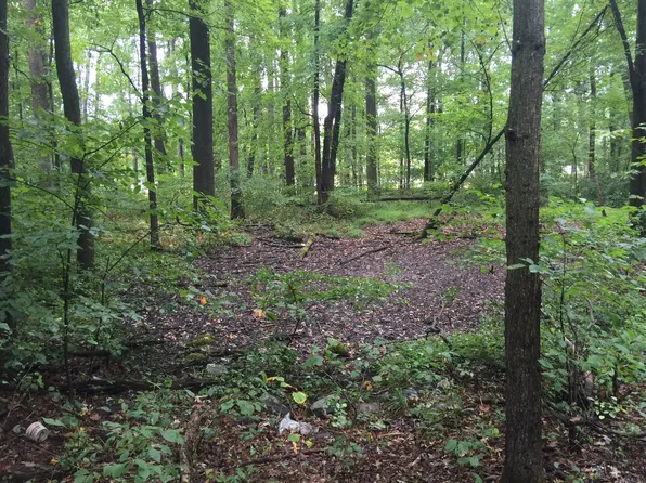 877 Rocky Pinch Ln, Manheim, PA 17545