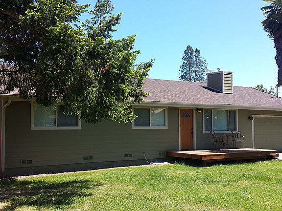 Front of house, fir & palm