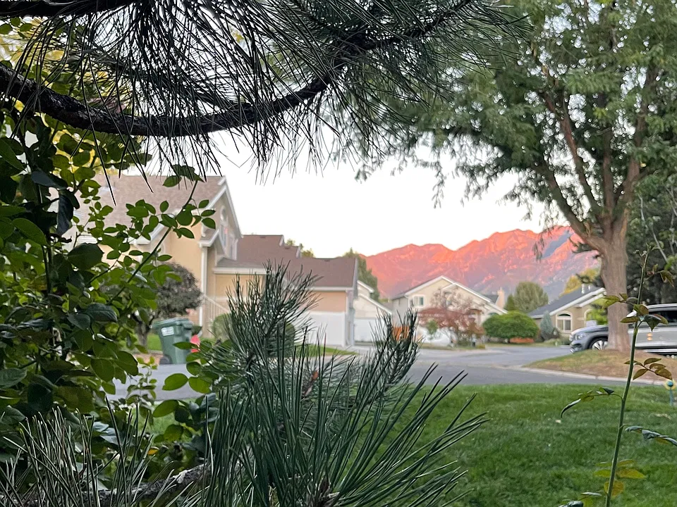 1349 E Pantera Ln