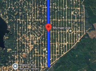 Michael Ave Lot 26, Interlachen, FL 32148