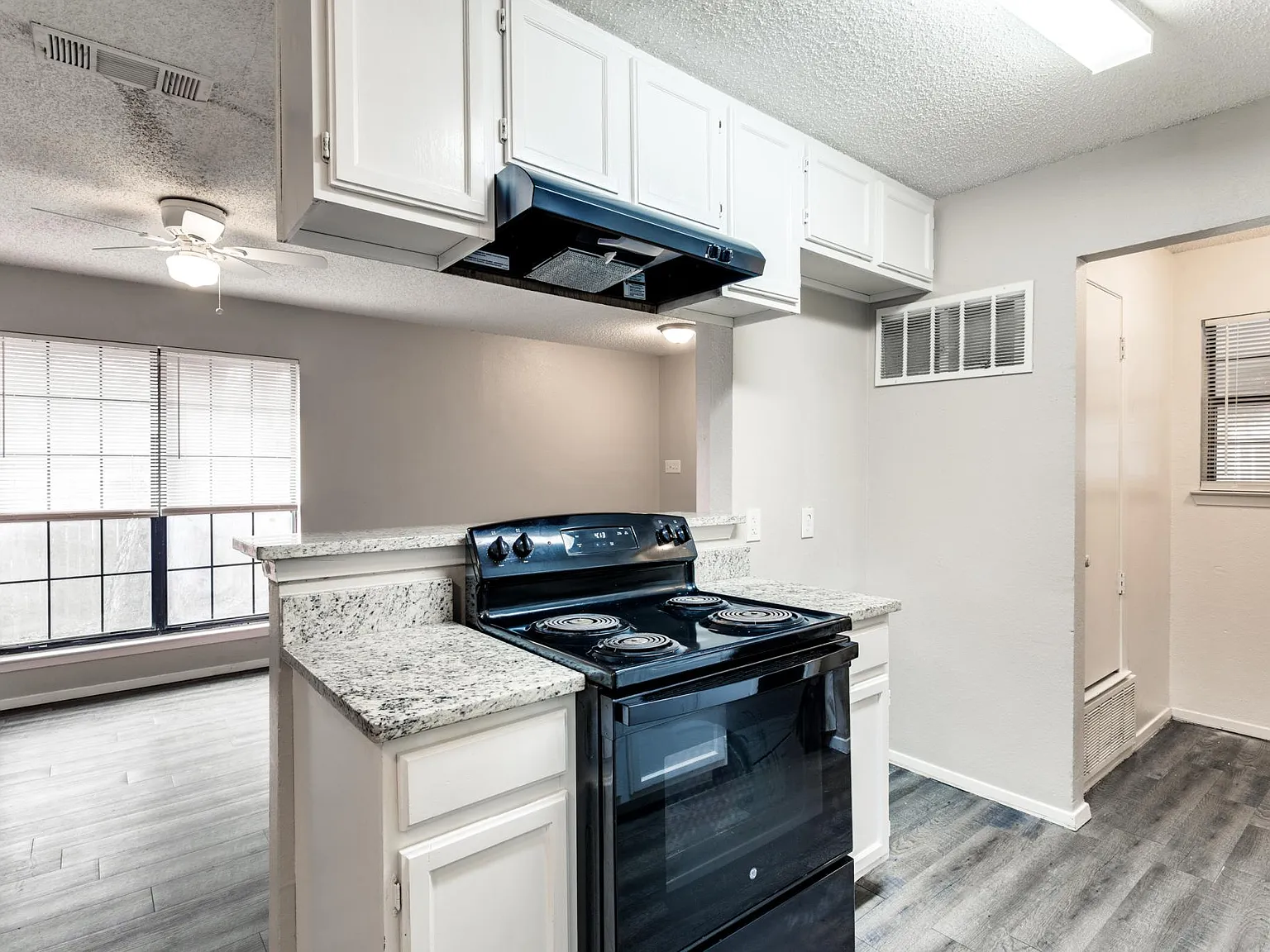 2 bed, 1050 sqft, $1,250 — Photo 3