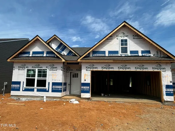 260 Chimney View Loop, Blountville, TN 37617