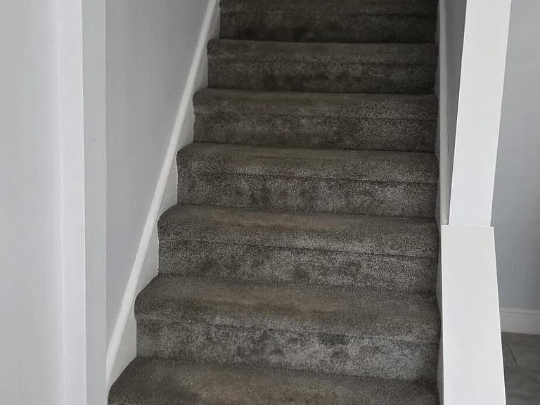 407 Georgian Park Dr — Photo 13