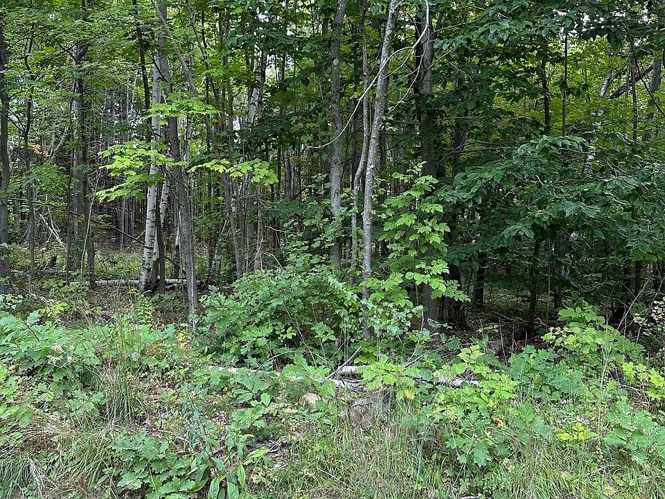 2nd image of 00 Meaderboro Road Lot 5