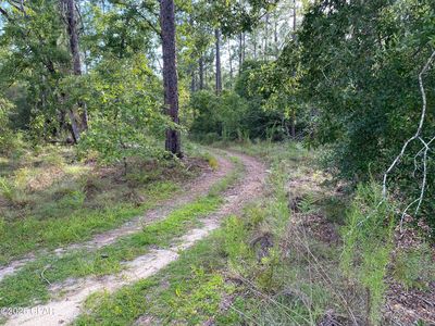 31 Putnam Ave, Alford, FL, 32420