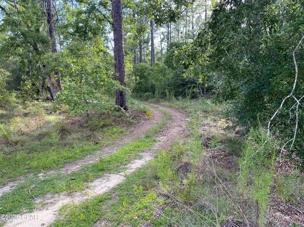 31 Putnam Ave, Alford, FL 32420