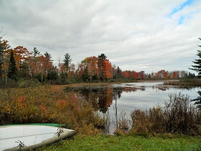 1st image of 3.6 Acres Hardacre Trl