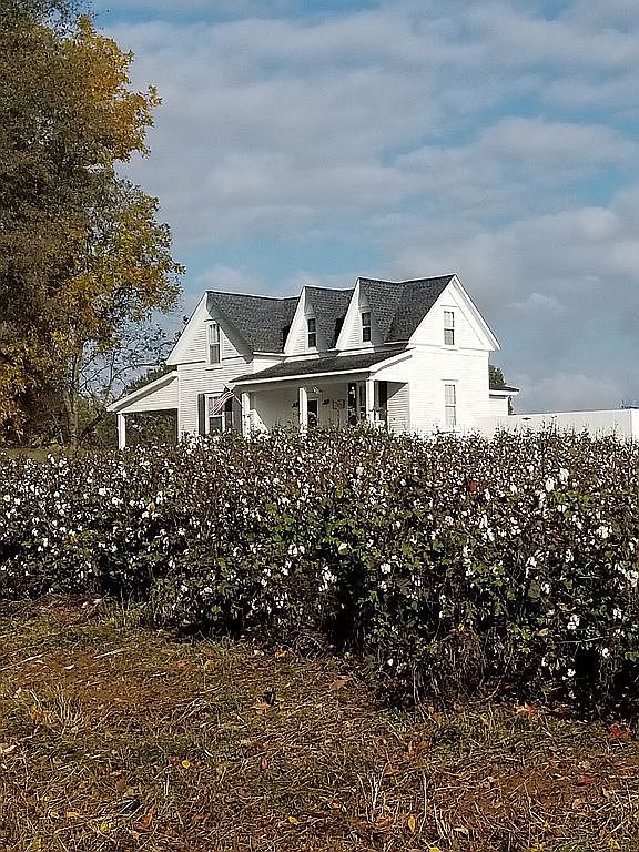 586 Old Dyersburg Rd, Dyer, TN 38330 Zillow