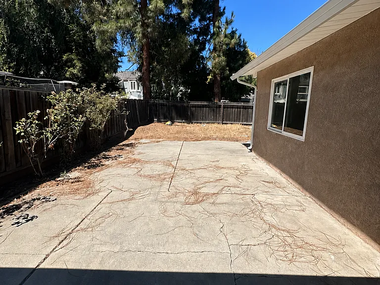 272 Donner Ave — Photo 11