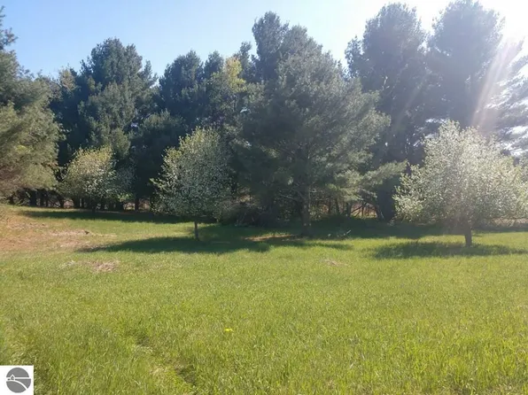 Baggs Rd, Williamsburg, MI 49690