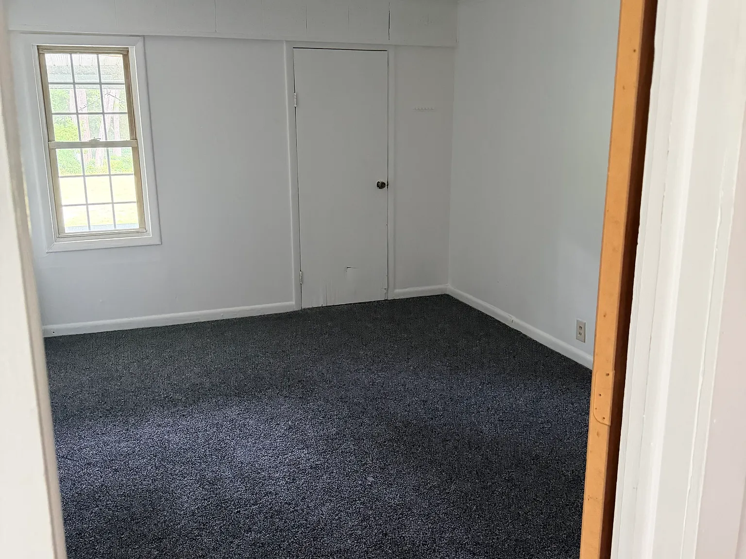 1 bed, $1,200 — Photo 2