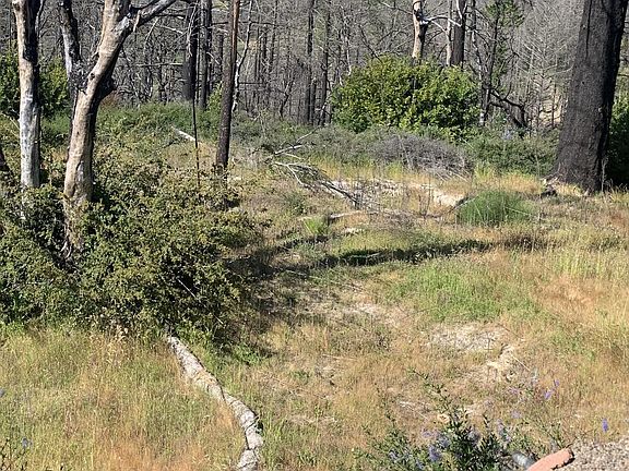3rd image of 8120 Tarwater Road