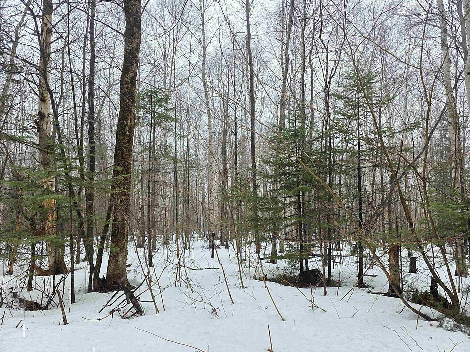 2nd image of 1500 Allard Hill Road