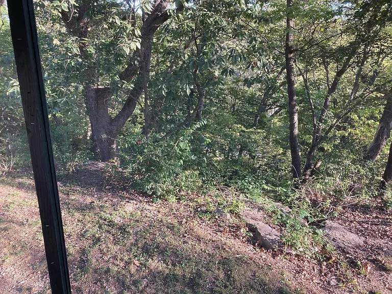 Looking out on your screened in porch