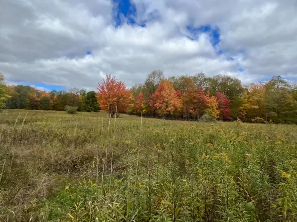 0 Lockwood Run Rd, Lockwood, NY 14859