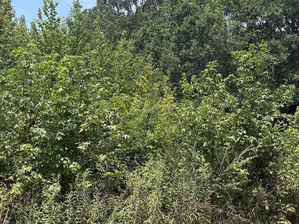 1st image of LOT 10 Gamble Lane Off Highway 236