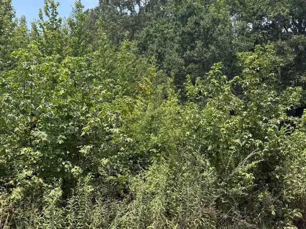 LOT 10 Gamble Lane Off Highway 236, Carlisle, AR 72024