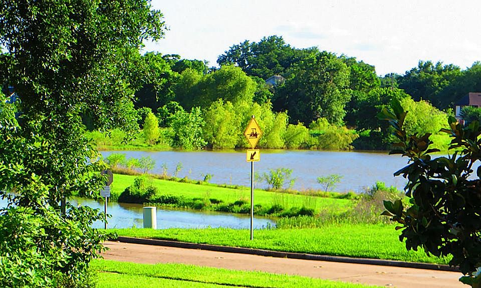2nd image of 2706 Pecan Ct