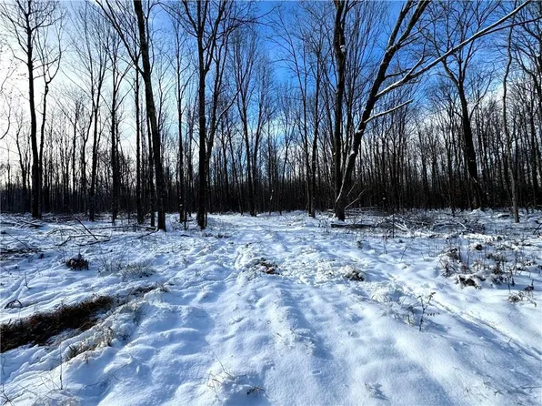 000 Hallberg Road, Ogema, WI 54459