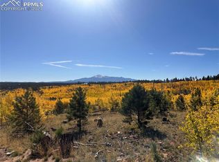 County Rd UNIT 2, Florissant, CO 80816