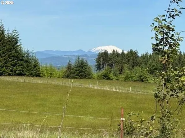 65748 Meissner Rd, Deer Island, OR 97054