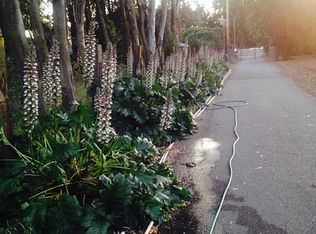 7118 Batavia Rd, Dixon, CA 95620