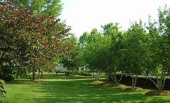 Large dog park for your 4-legged friends!