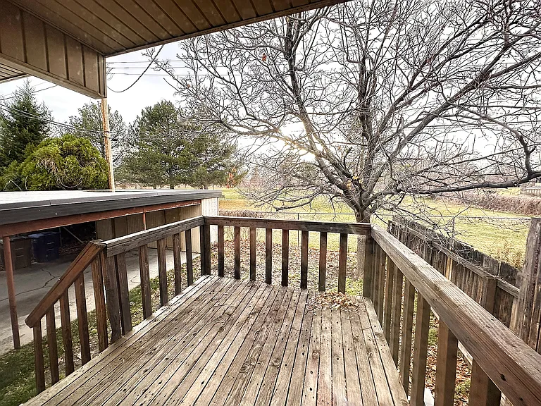 Backyard Deck Overlooking Large Fully Fenced Dog Park, 2 Car Carport with Large Locked Storage