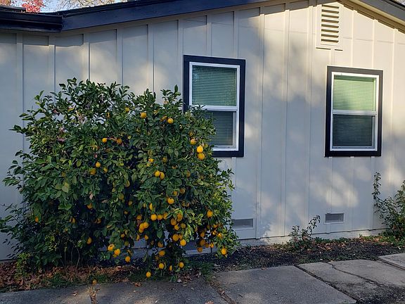 4th image of 1841 Myrtle Ave