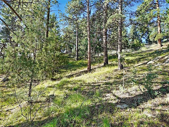 3rd image of Bob Cat Trail