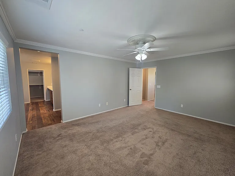 34158 Carissa Dr — Photo 20