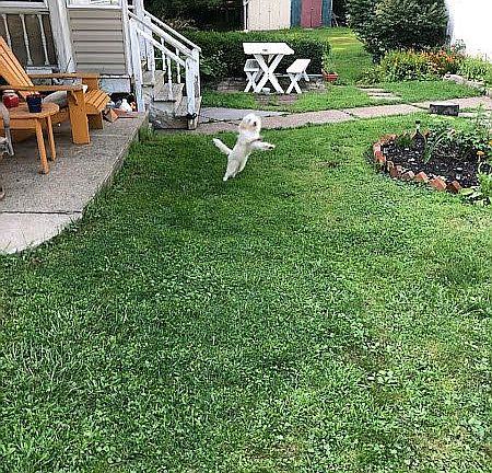 5th image of 166 Dale Dr