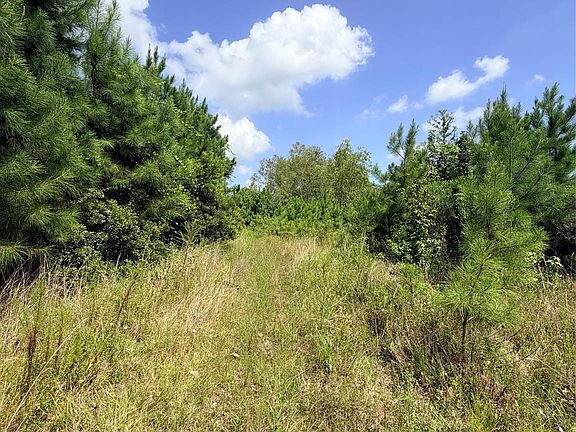 5th image of 385 County Road 3773