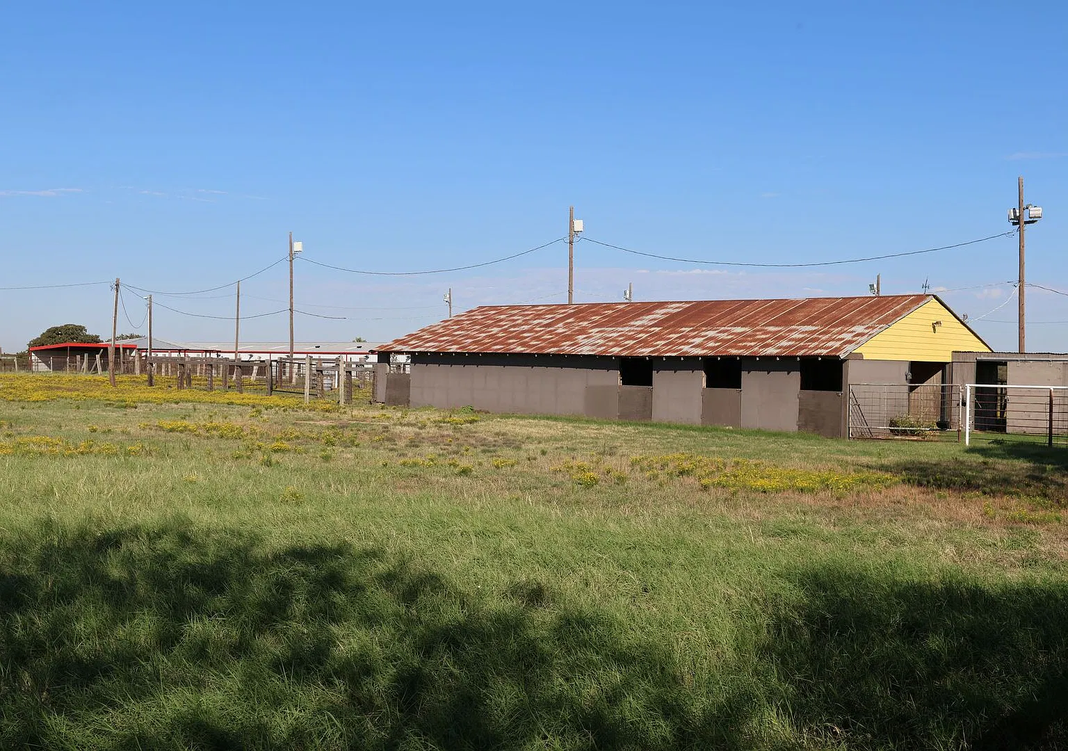 2 Bed 1 Bath 5.5 Acre Horse Property in Crossroads — Photo 3