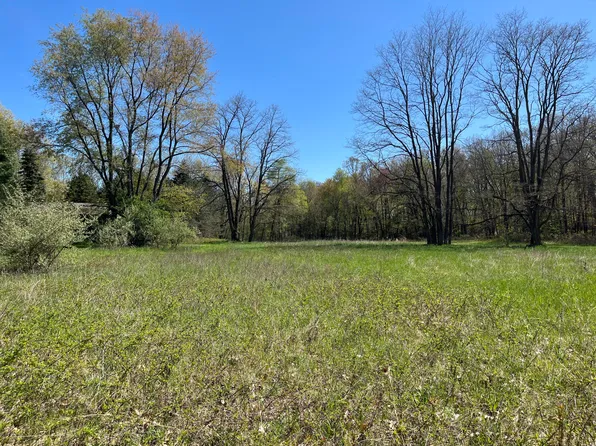 540 Bailey Meadows Dr NE, Ada, MI 49301