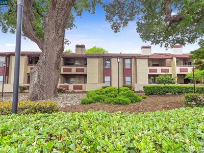 1391 Monument Blvd APT 20, Concord, CA, 94520