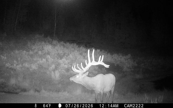 5th image of Tbd Atchee Ridge Rd